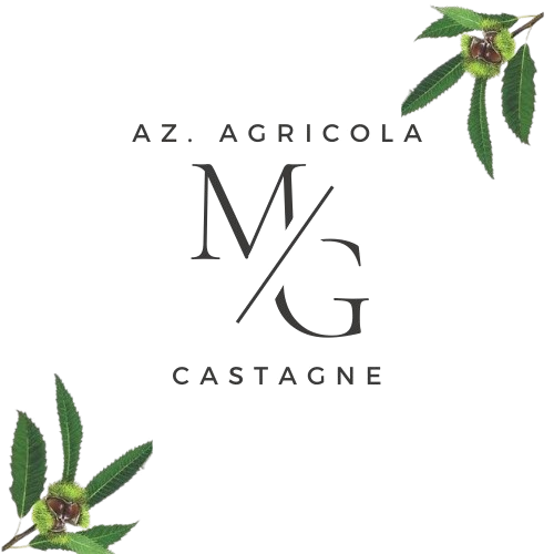 Logo MG Castagne